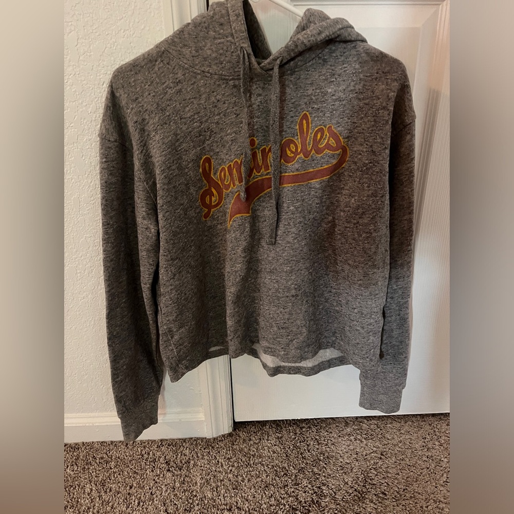 Medium gray FSU Seminoles graphic hoodie. Size medium.